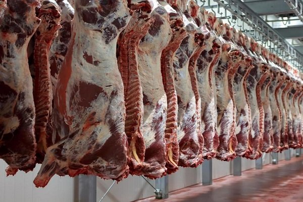 "قبل عيد الأضحى".. هبوط أسعار اللحوم الحمراء اليوم الأربعاء 31 مايو 2023 ومحلات الجزارة توضح التفاصيل!!